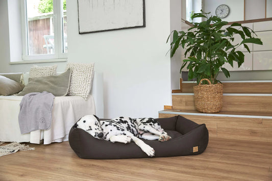 Hundebett Baumwolle Fred Anthrazit Palopa