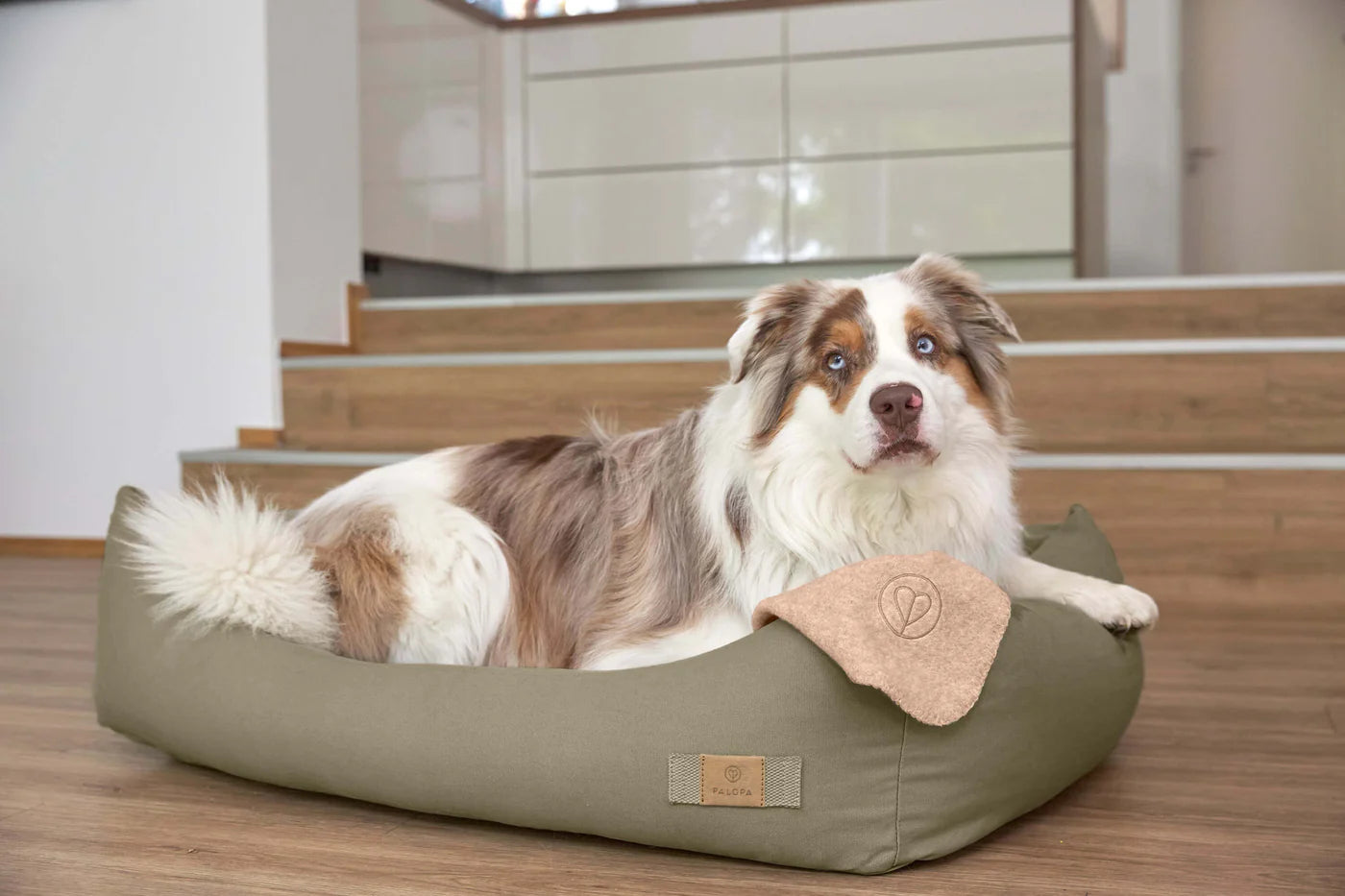 Hundebett Baumwolle Fred Dark Green Palopa