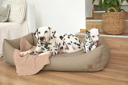 Hundebett Baumwolle Fred Beige Palopa