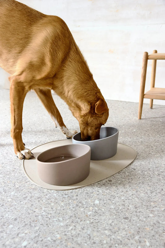 Hundenapf Cali Taupe Palopa