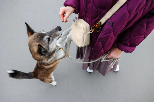 Leckerlibeutel Greta Creme Palopa