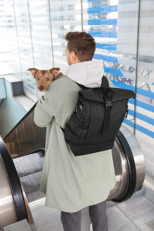 Rolltop Rucksack Yoska Schwarz Palopa