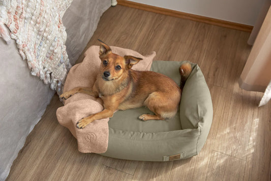 Hundebett Baumwolle Fred Dark Green Palopa