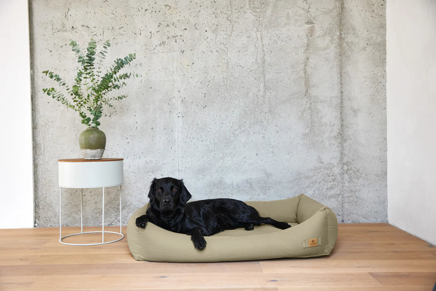 Hundebett Baumwolle Fred Dark Green Palopa