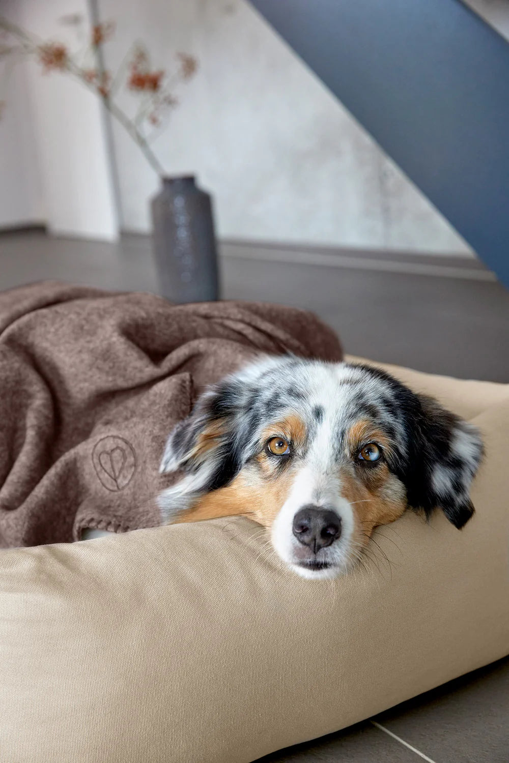 Hundedecke M Mathilda Walnuss Palopa