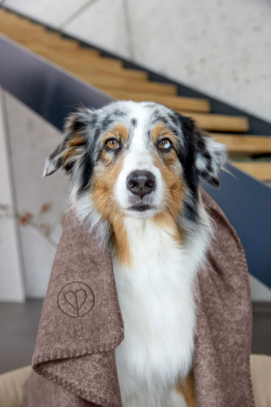 Hundedecke M Mathilda Walnuss Palopa