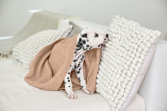 Hundedecke M Mathilda Ahorn Palopa