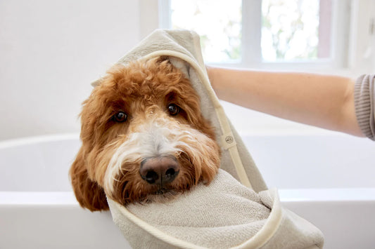 Hundehandtuch Kosy Beige Palopa