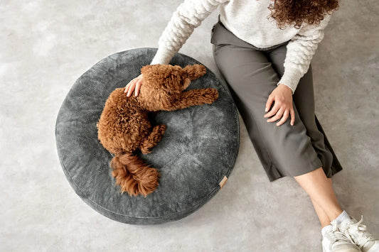 Hundebett Rund Fippa Anthrazit Palopa