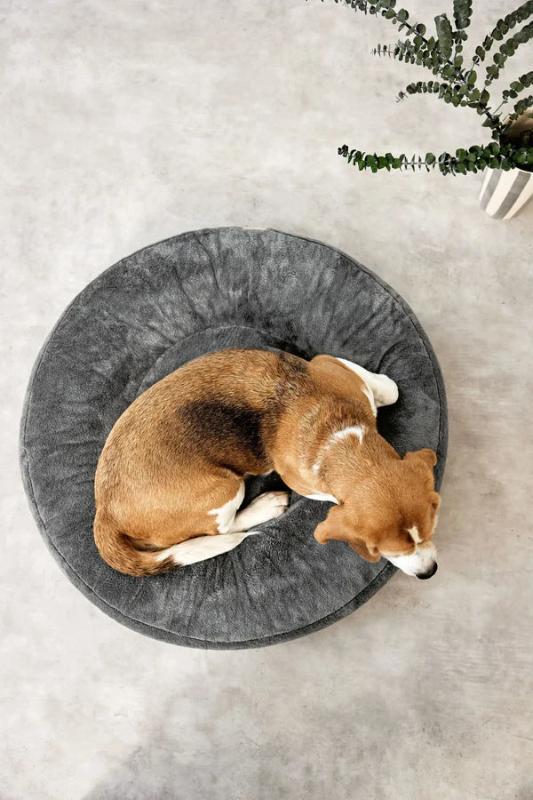 Hundebett Rund Fippa Anthrazit Palopa