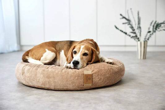 Hundebett Rund Fippa Beige Palopa