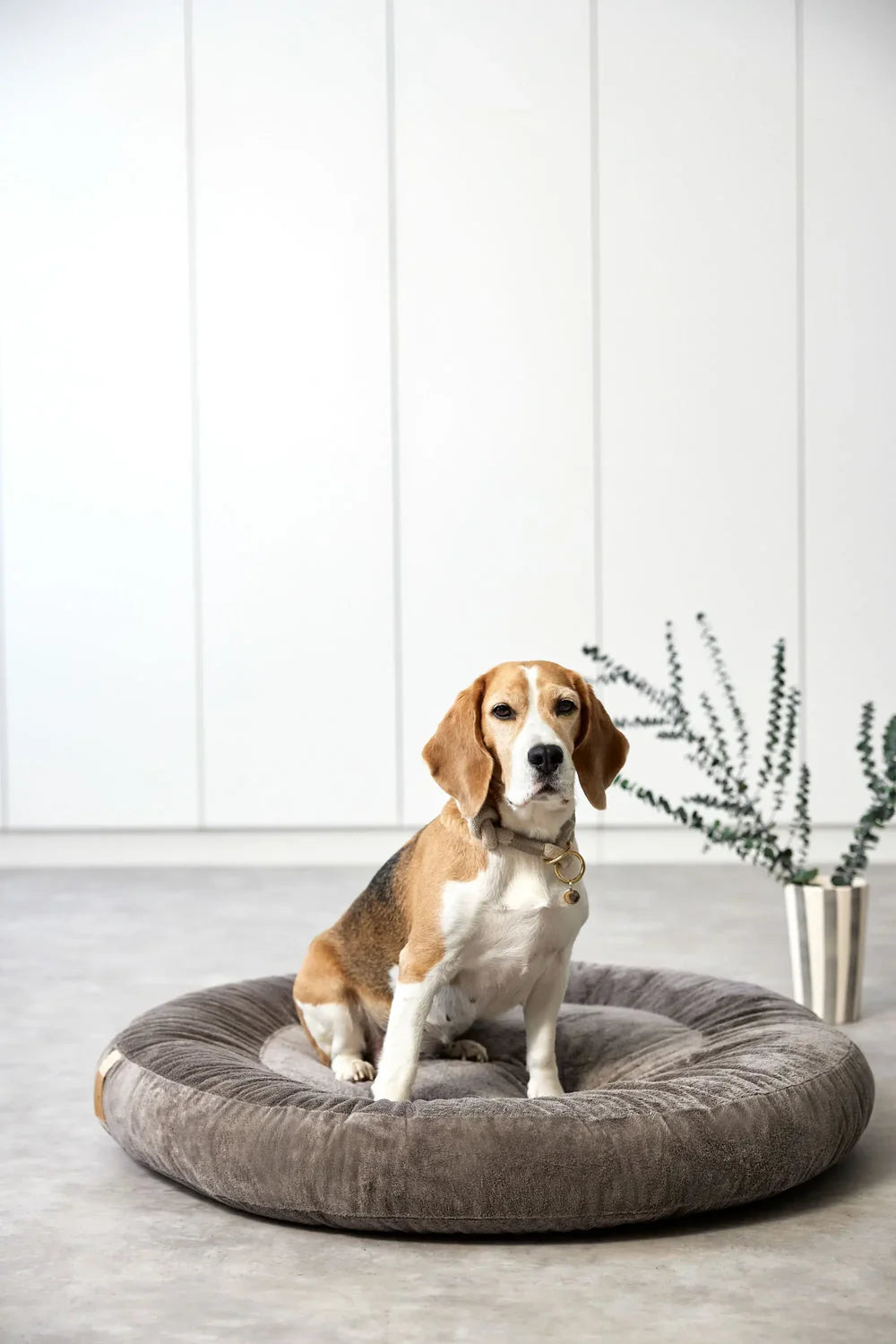 Hundebett Rund Fippa Braun Palopa