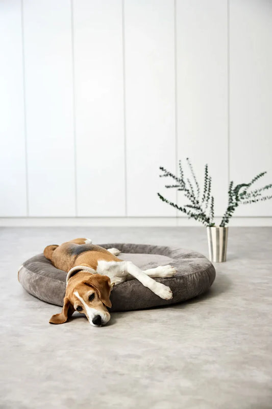 Hundebett Rund Fippa Braun Palopa