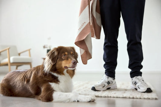 Hundedecke M Ida Streifen Ahorn Palopa