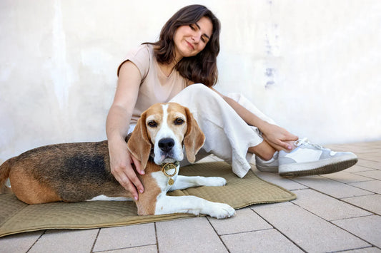 Hundemattentasche Nobo Salbei Palopa