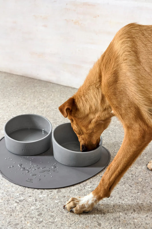 Hundenapf Cali Grau Palopa