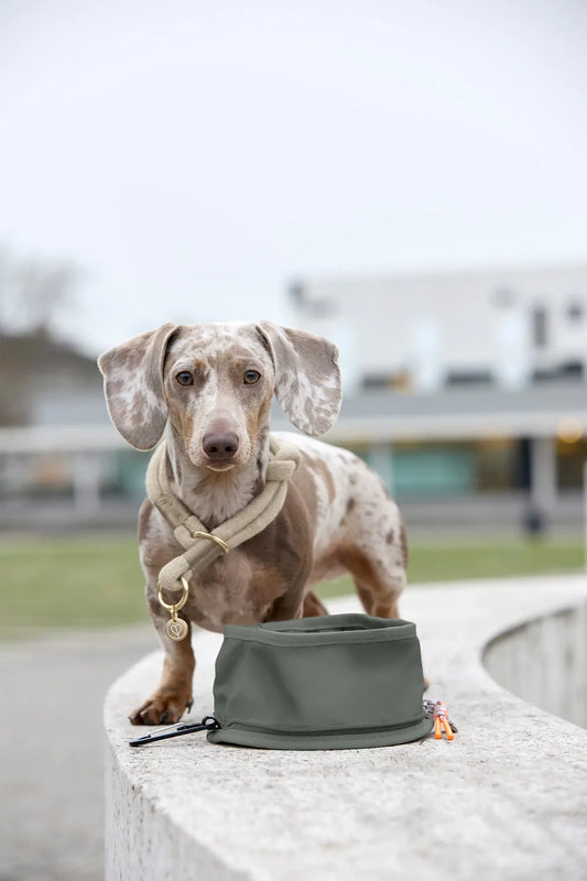 Hundenapf zum Mitnehmen Tura Dunkelgrün Palopa