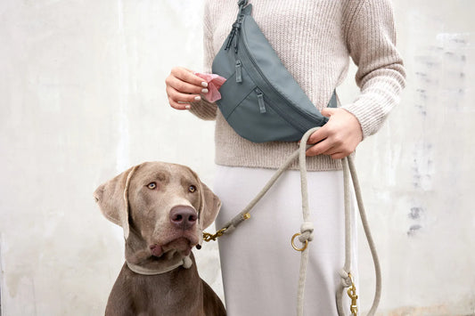 Leckerlibeutel Emma Anthrazit Palopa