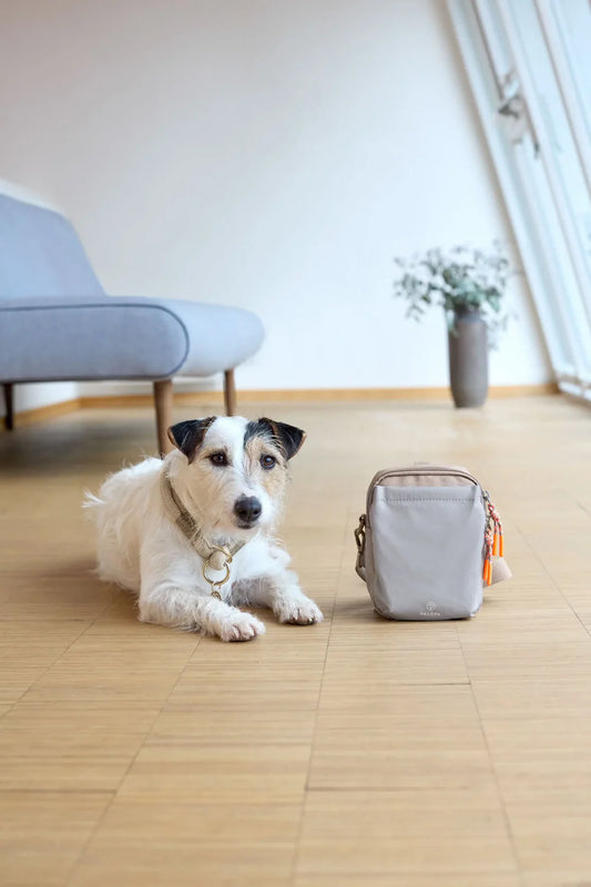 Leckerlibeutel Greta Taupe Palopa