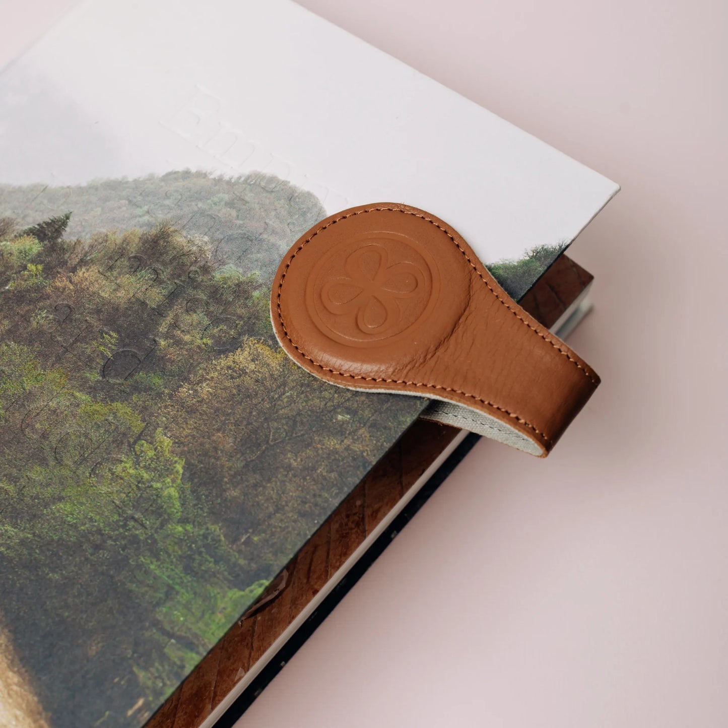 Cloby Magnetclips Braun (Leder)