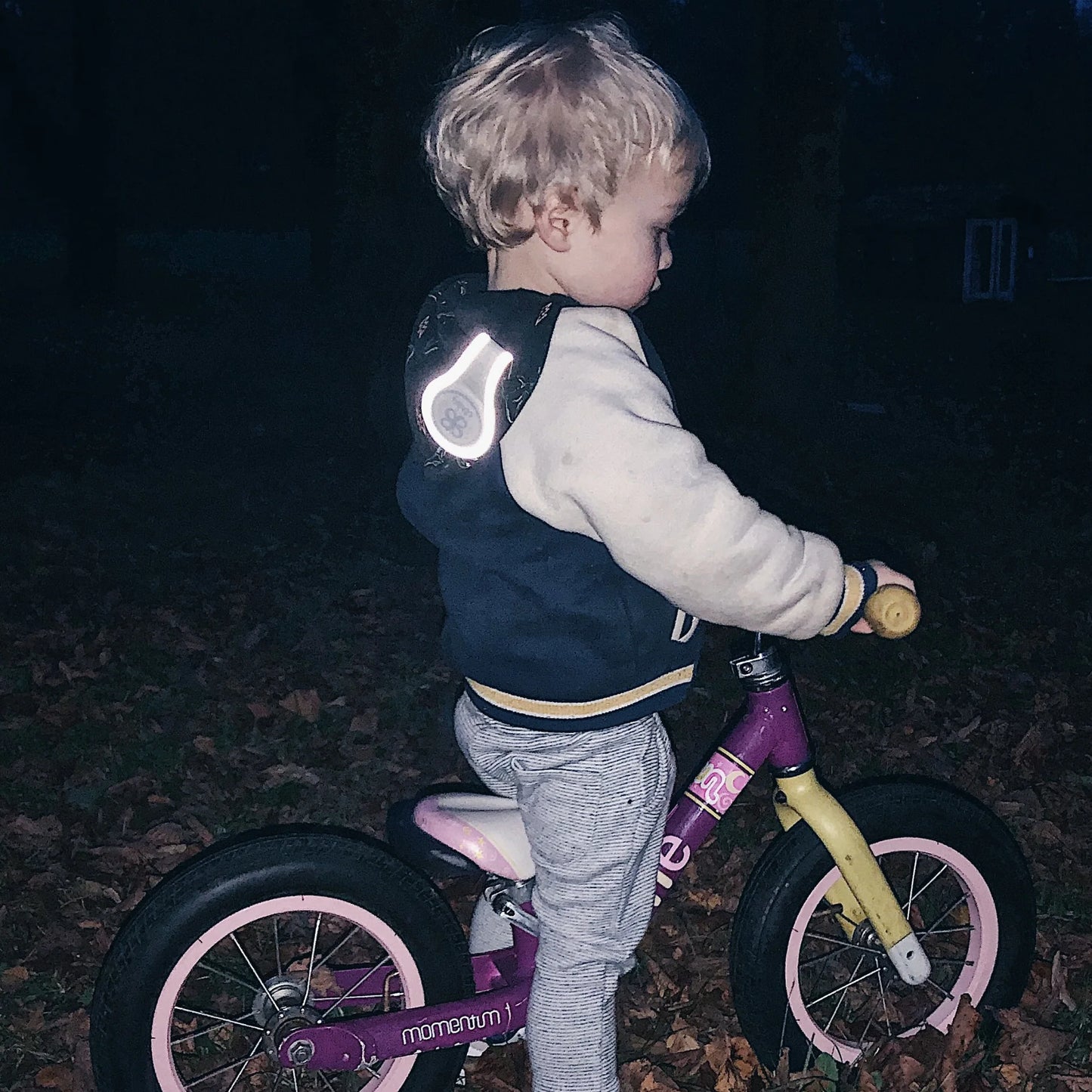 Cloby Reflektierende Magnetclips (Canvas)