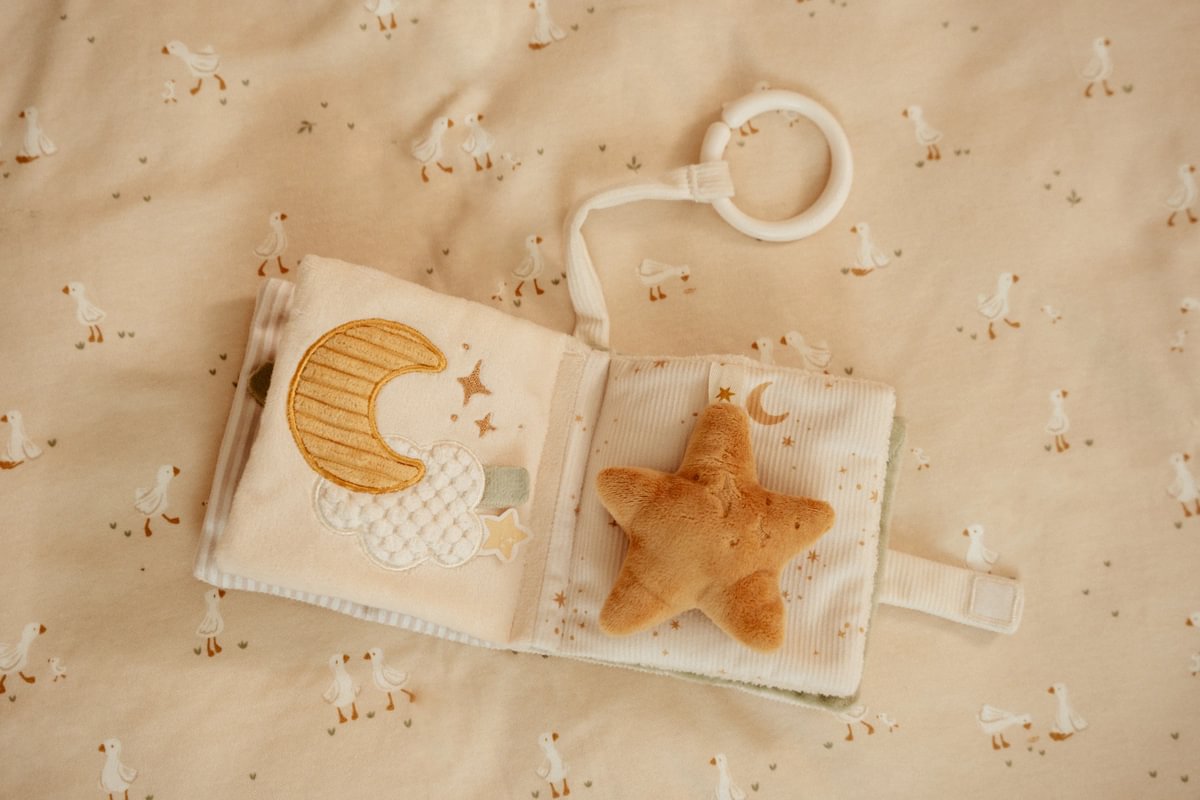 Buggybuch Little Goose Newborn Naturals Little Dutch