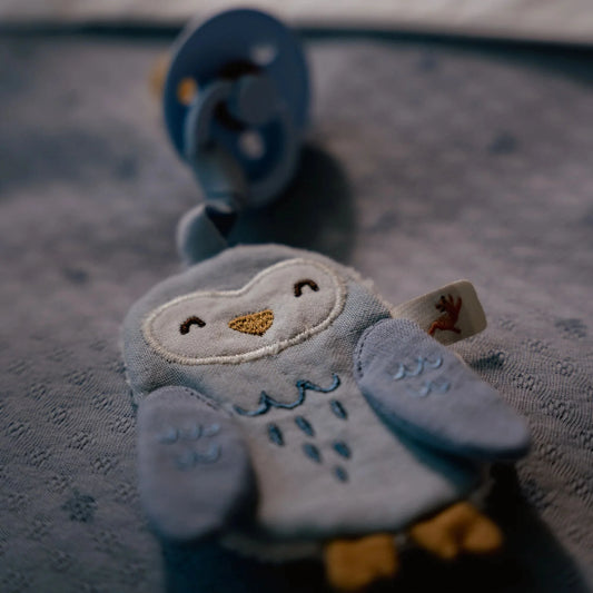 Little Dutch Schnullertuch Eule blau Forest Friends Bio Musselin