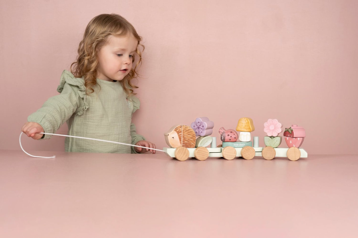 Holz Zug Igel Fairy Garden "Zur Geburt" Little Dutch