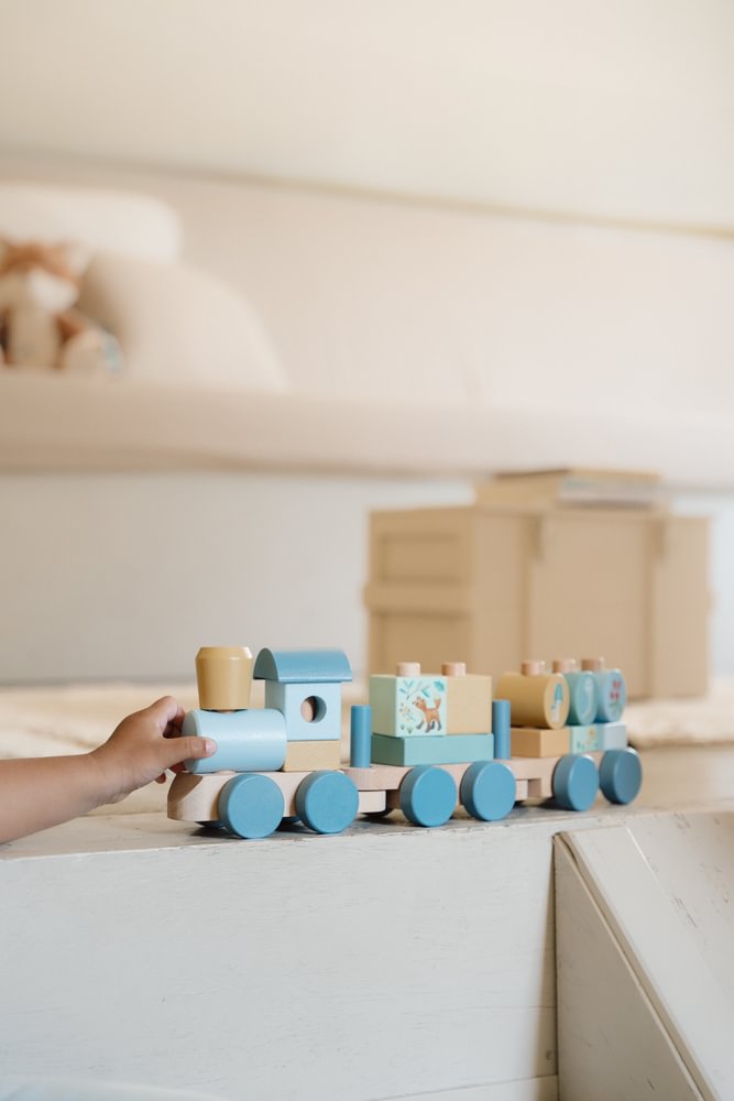 Holz Zug Forest Friends "Zur Geburt" Little Dutch