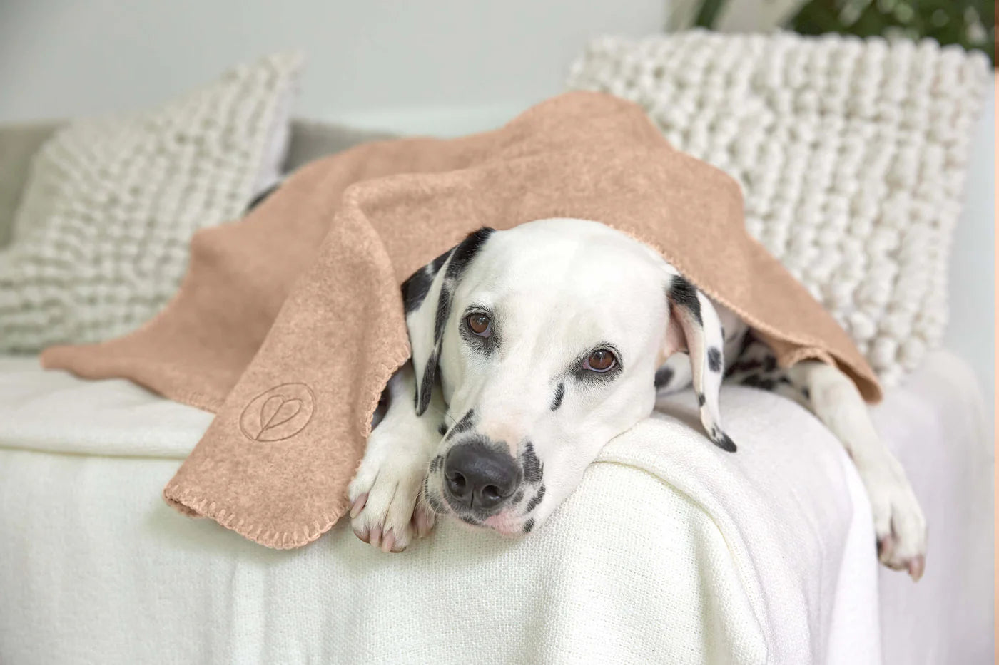 Hundedecke M Mathilda Ahorn Palopa