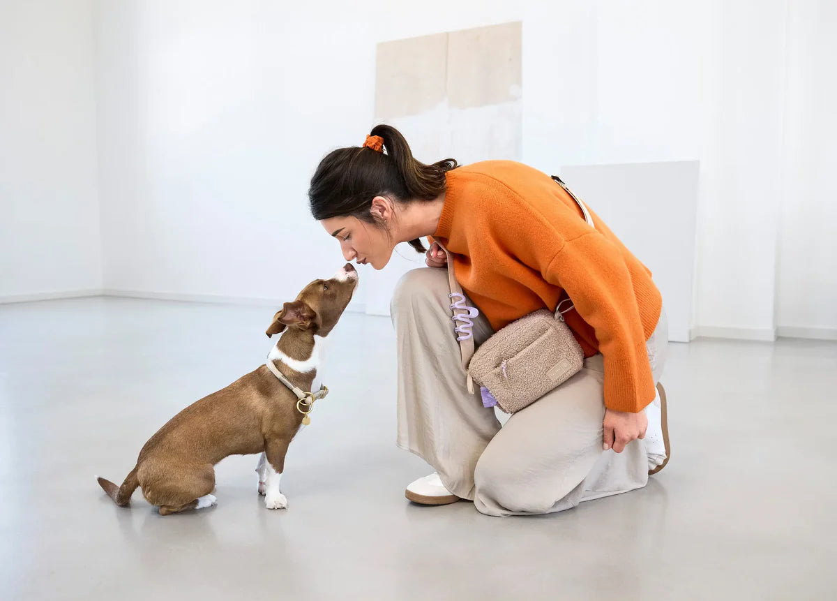 Palopa Leckerlibeutel Teddy Fleece Noka Beige (Limited Edition)