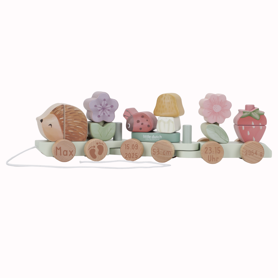 Holz Zug Igel Fairy Garden "Zur Geburt" Little Dutch