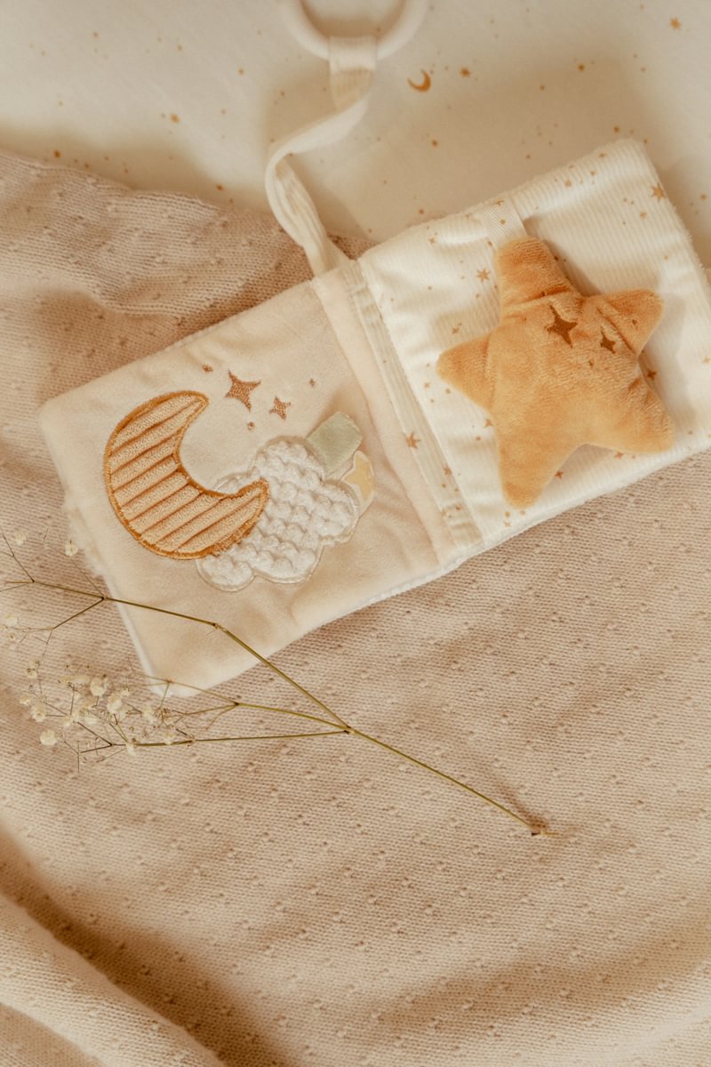 Buggybuch Little Goose Newborn Naturals Little Dutch