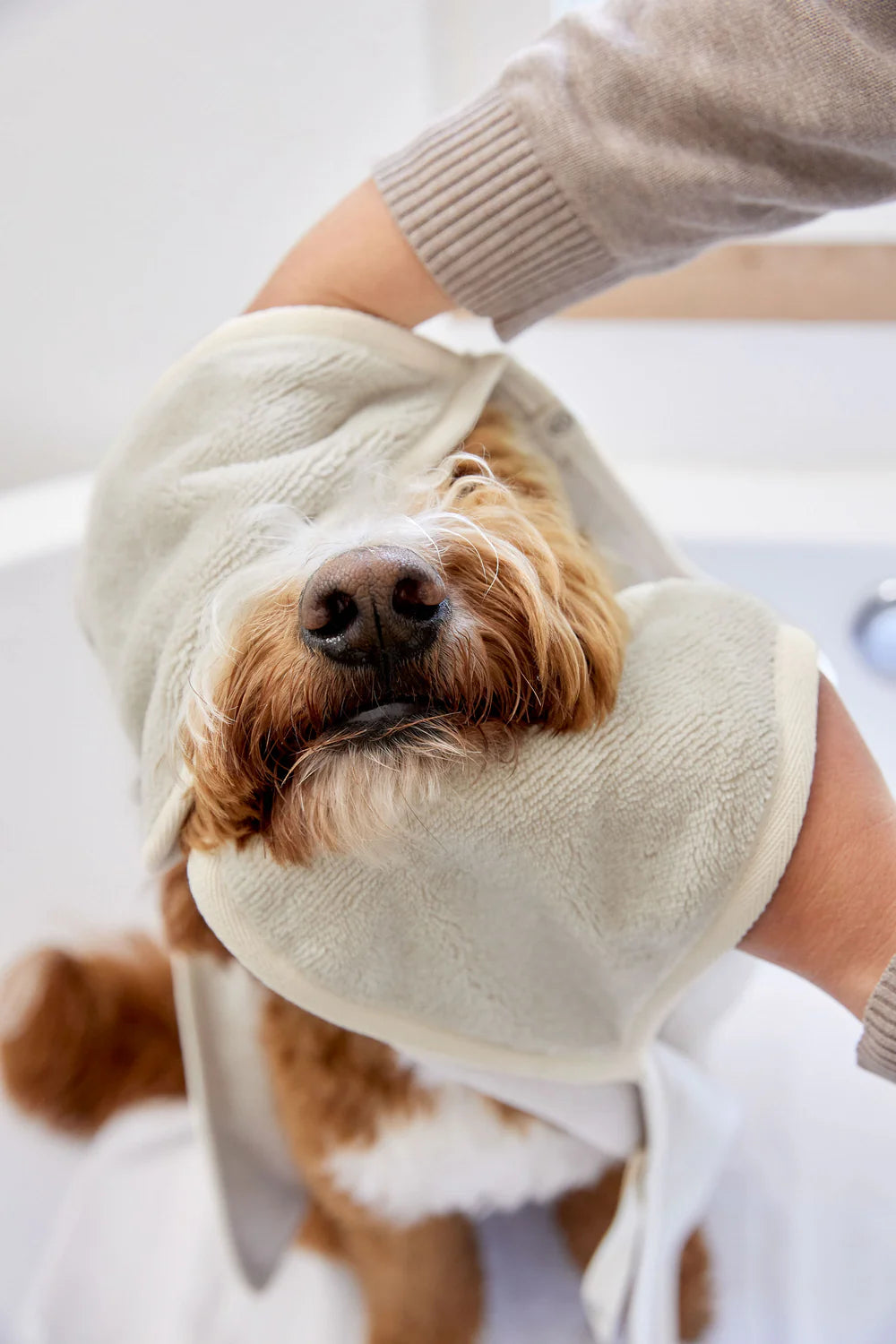 Hundehandtuch Kosy Beige Palopa