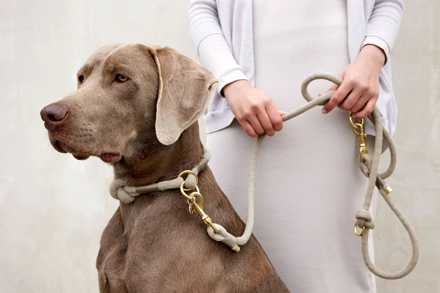 Hundehalsband geflochten Mila Natur Palopa