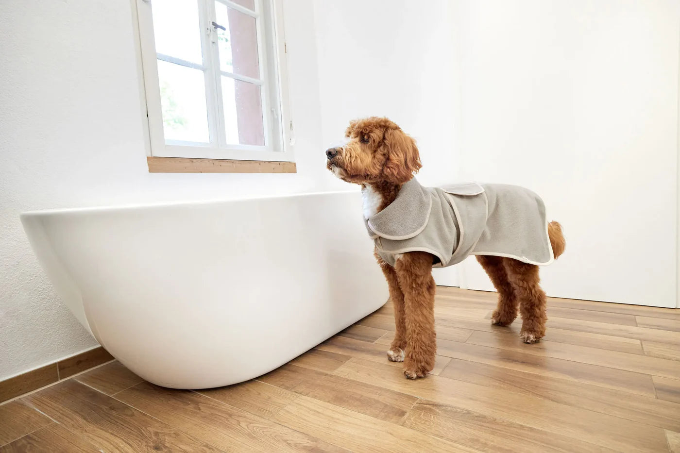 Hundebademantel Robi Beige Palopa