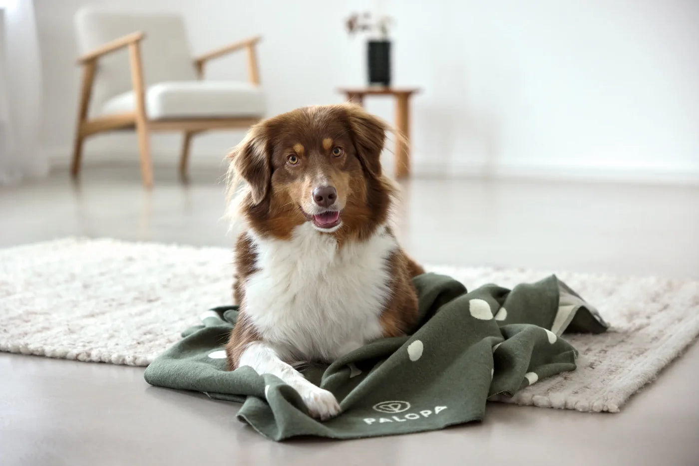 Hundedecke L Ida Punkte Dunkelgrün Palopa