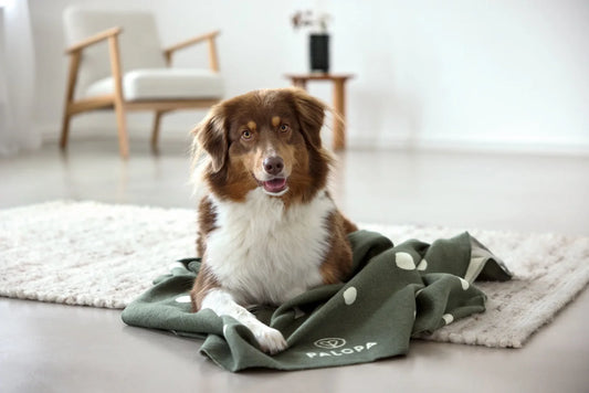 Hundedecke L Ida Punkte Dunkelgrün Palopa