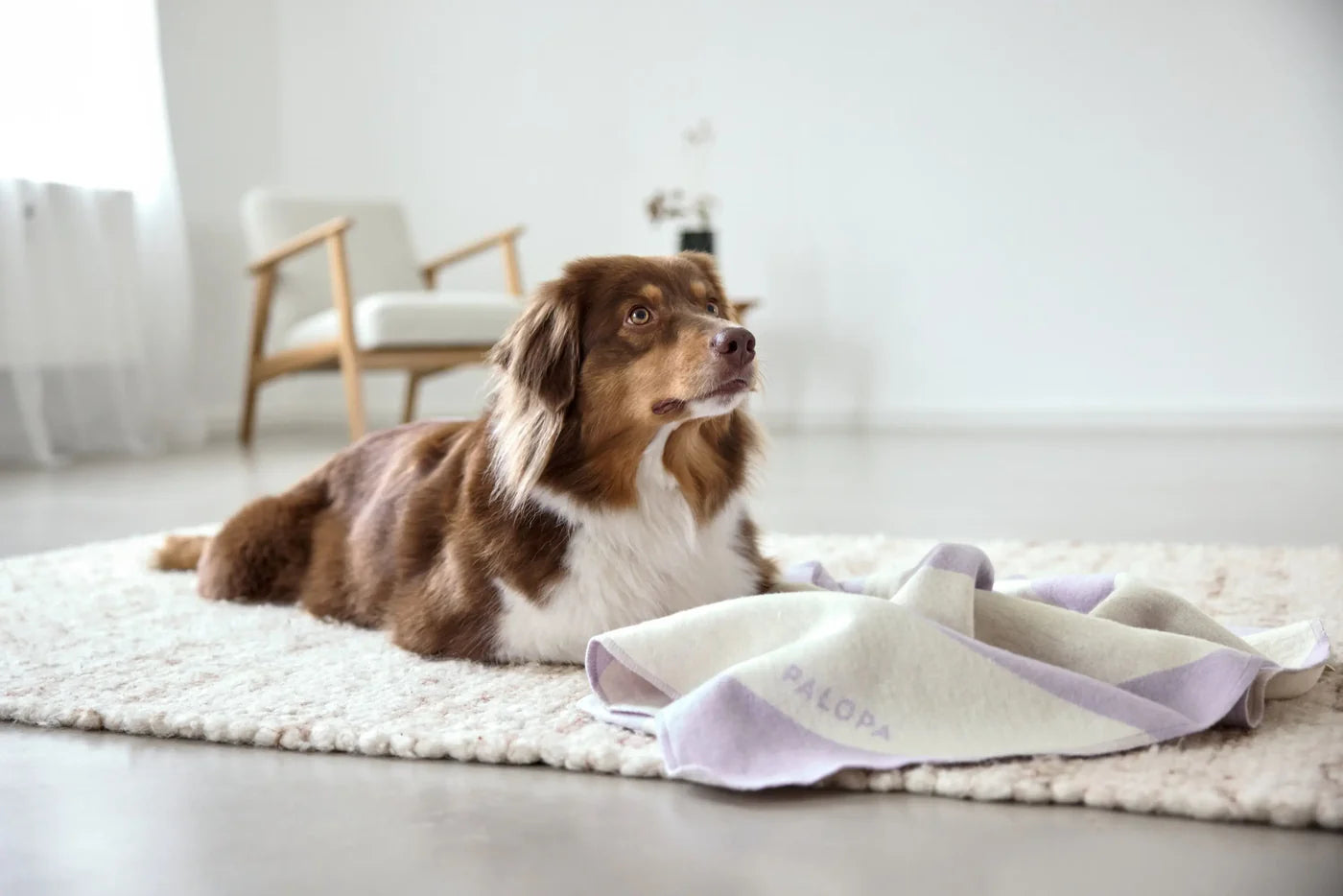 Hundedecke M Ida Streifen Lila Palopa