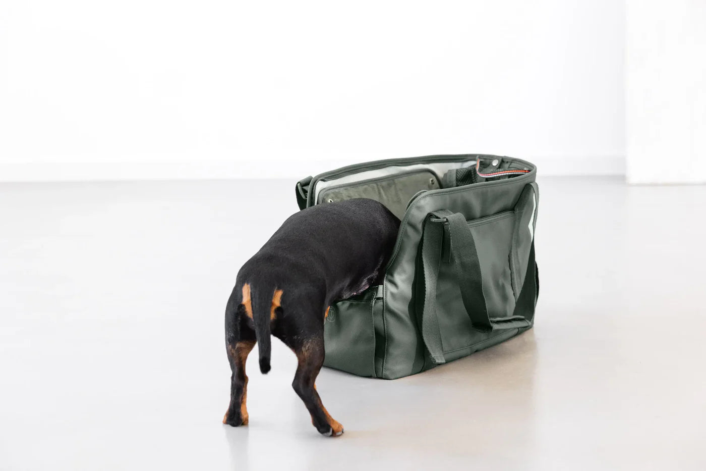 Hundetasche Weda Dunkelgrün Palopa