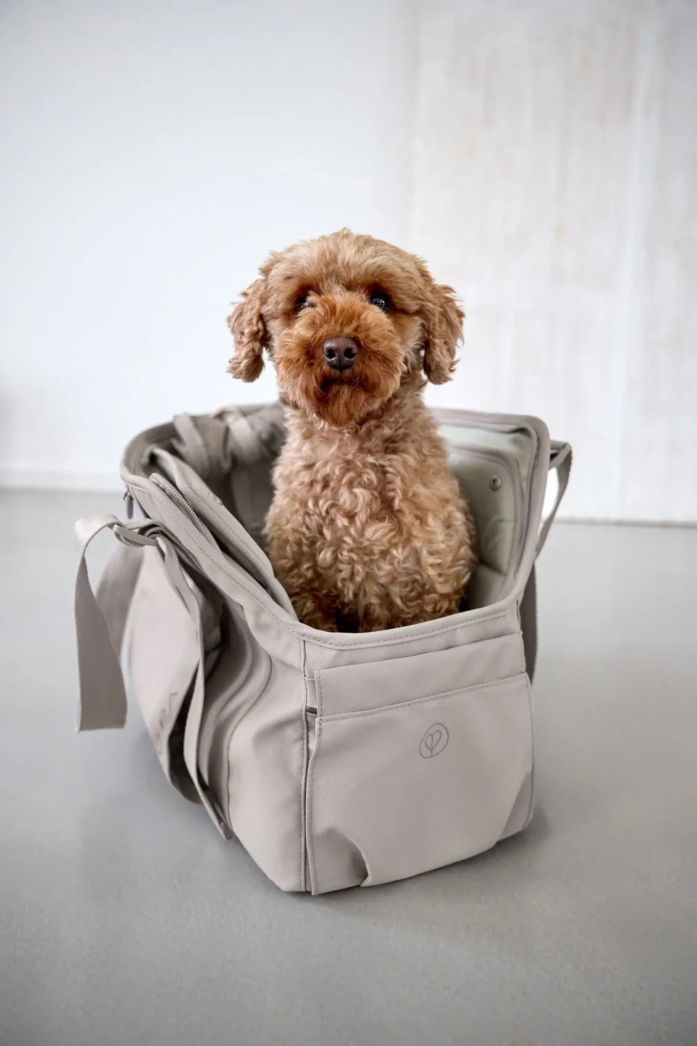 Hundetasche Weda Taupe Palopa